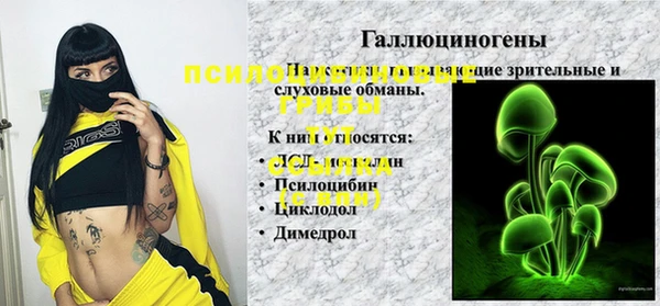 apvp Покровск