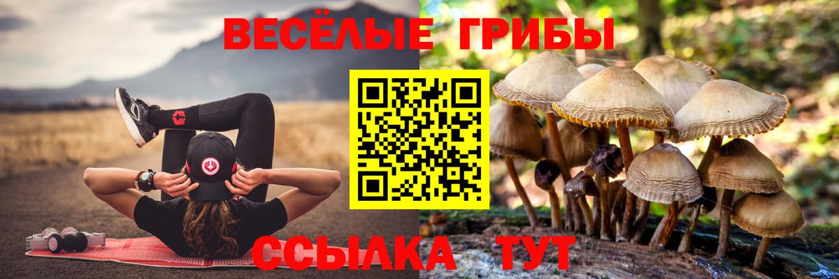 Псилоцибиновые грибы ЛСД Ставрополь