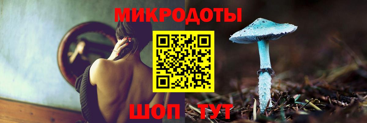 Ставрополь  Псилоцибиновые грибы мухоморы  Вход с VPN  Галлюциногенные грибы мухоморы 